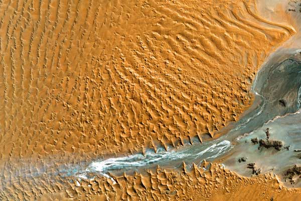 How a Farmer in China Spent $1 Billion to Raise Fish and Turn a Desert into an Oasis
